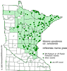 Minnesota county distribution map